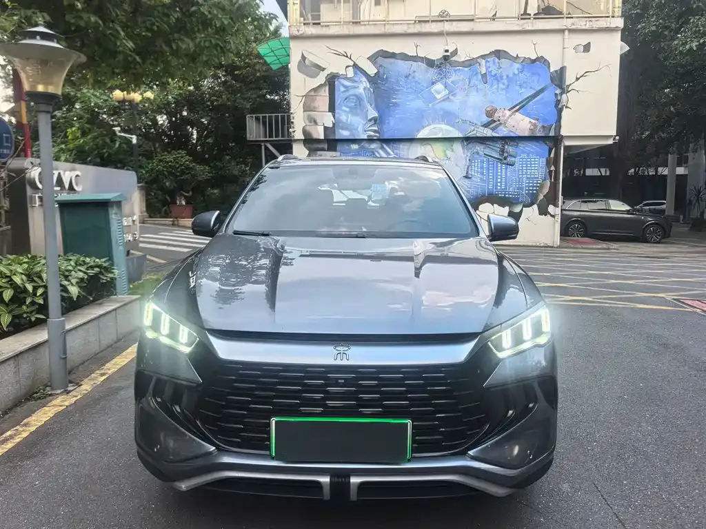 BYD Pro New Energy 2024 из CN, фото 2