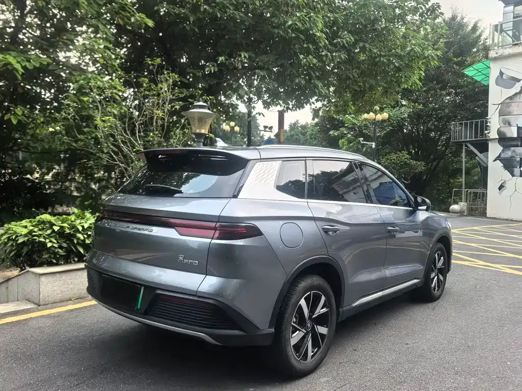 BYD Pro New Energy 2024 из CN, фото 10