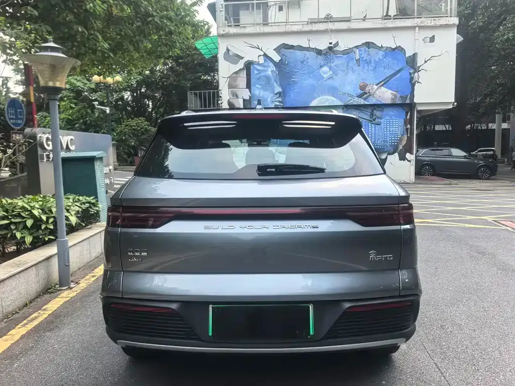 BYD Pro New Energy 2024 из CN, фото 8