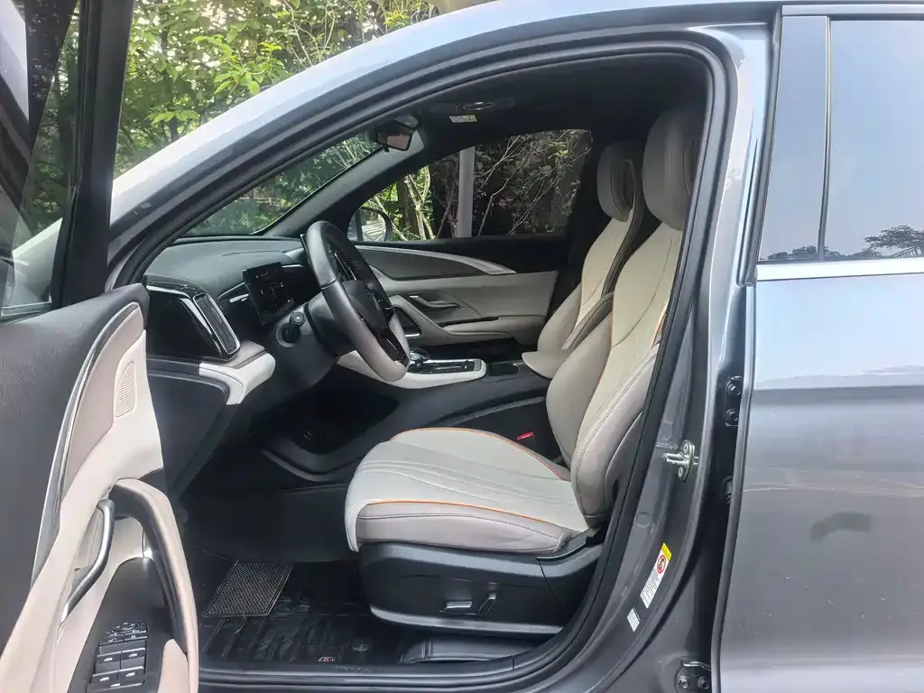 BYD Pro New Energy 2024 из CN, фото 5