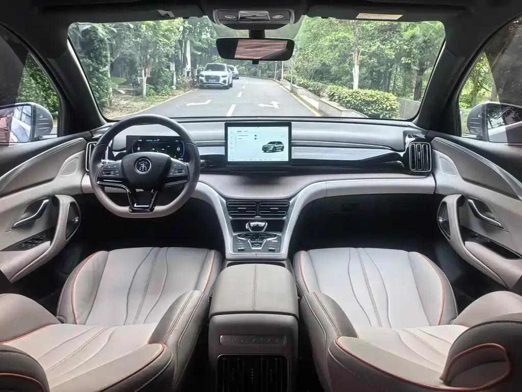 BYD Pro New Energy 2024 из CN, фото 9