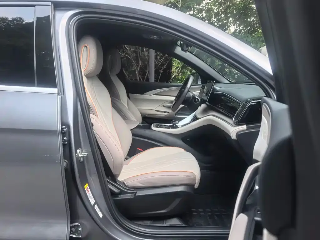BYD Pro New Energy 2024 из CN, фото 4