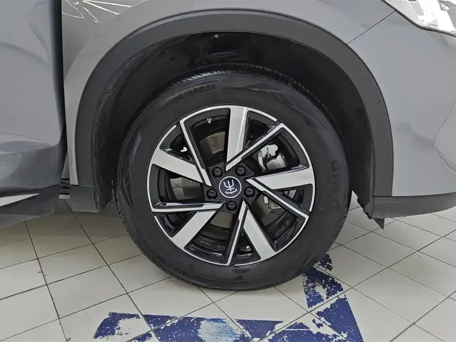 BYD Pro New Energy — фото 8