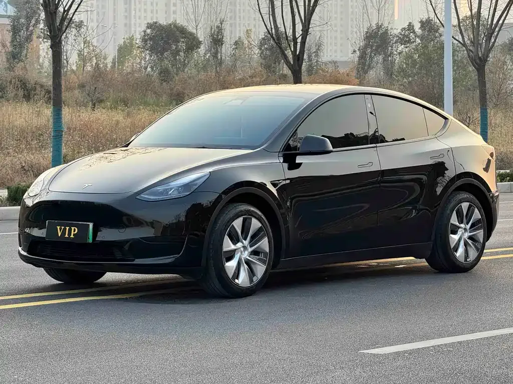 Tesla Model Y — фото 1