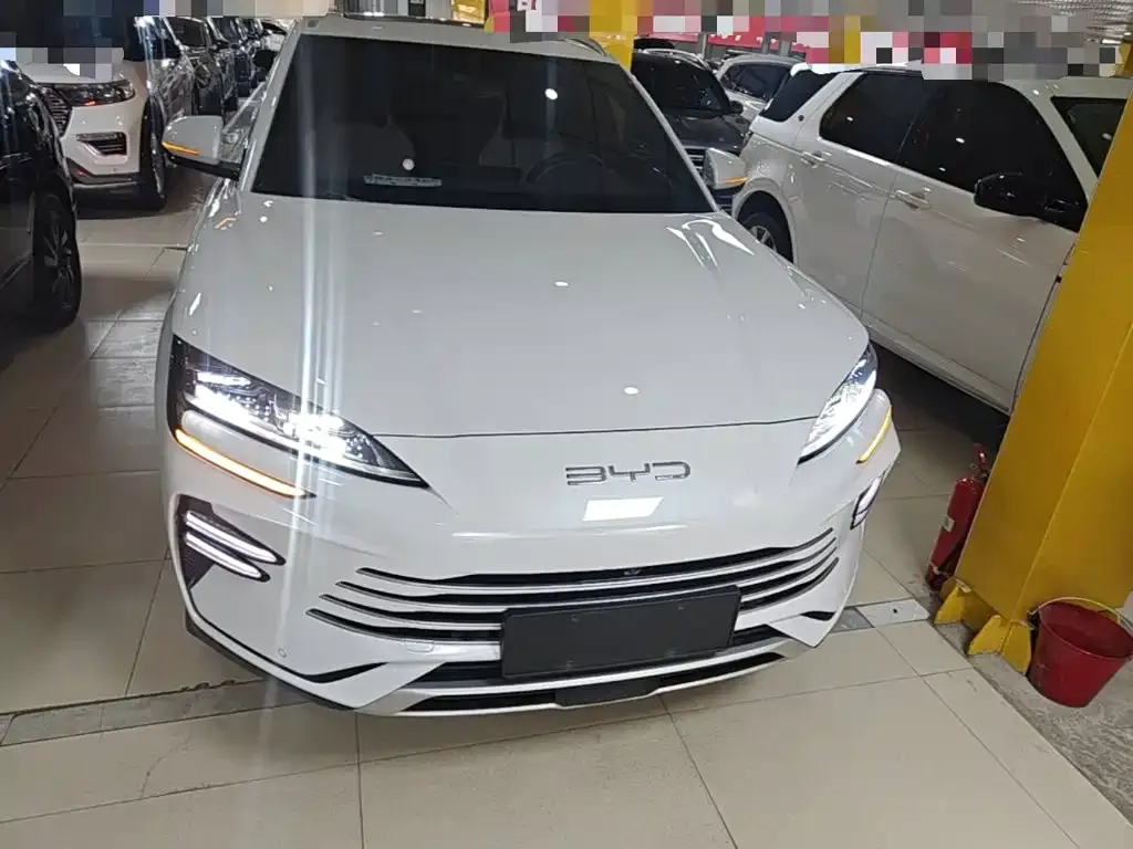 BYD PLUS New Energy — фото 7