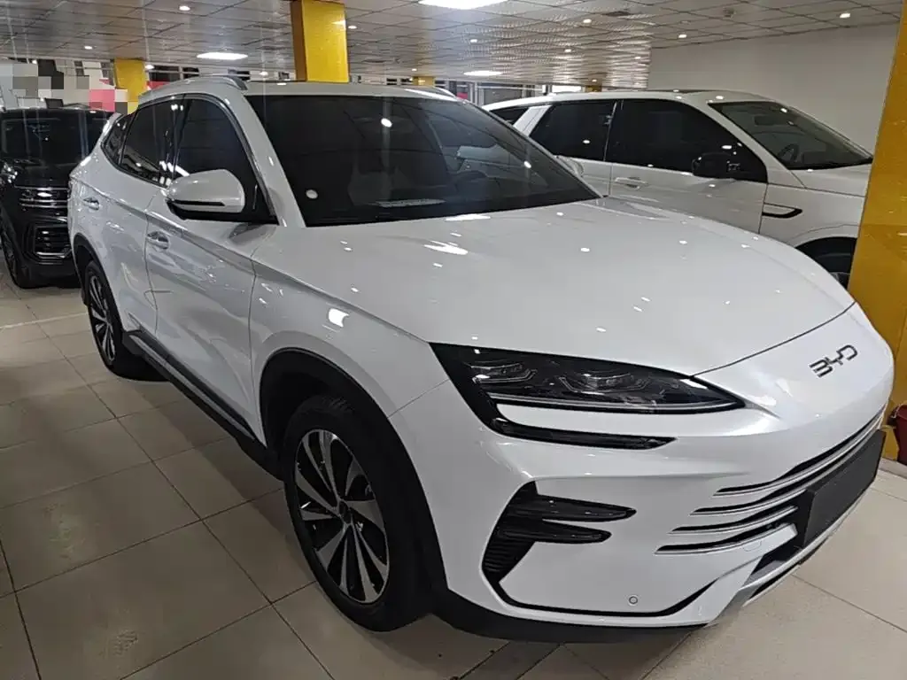 BYD PLUS New Energy — фото 10