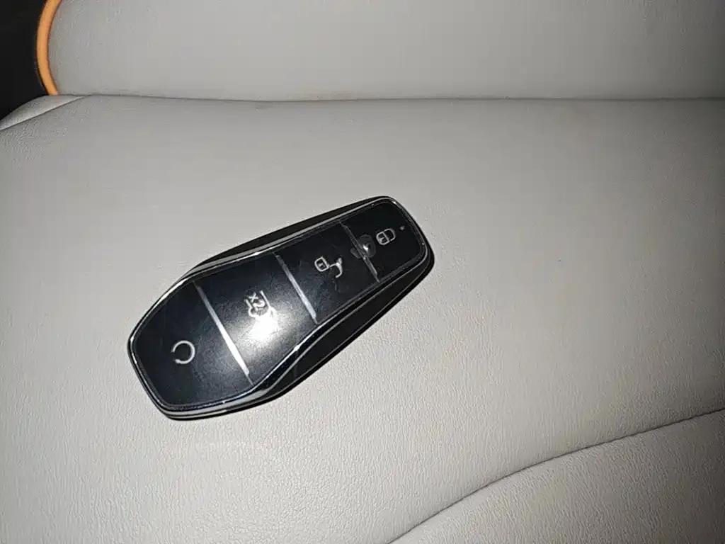 BYD PLUS New Energy — фото 4