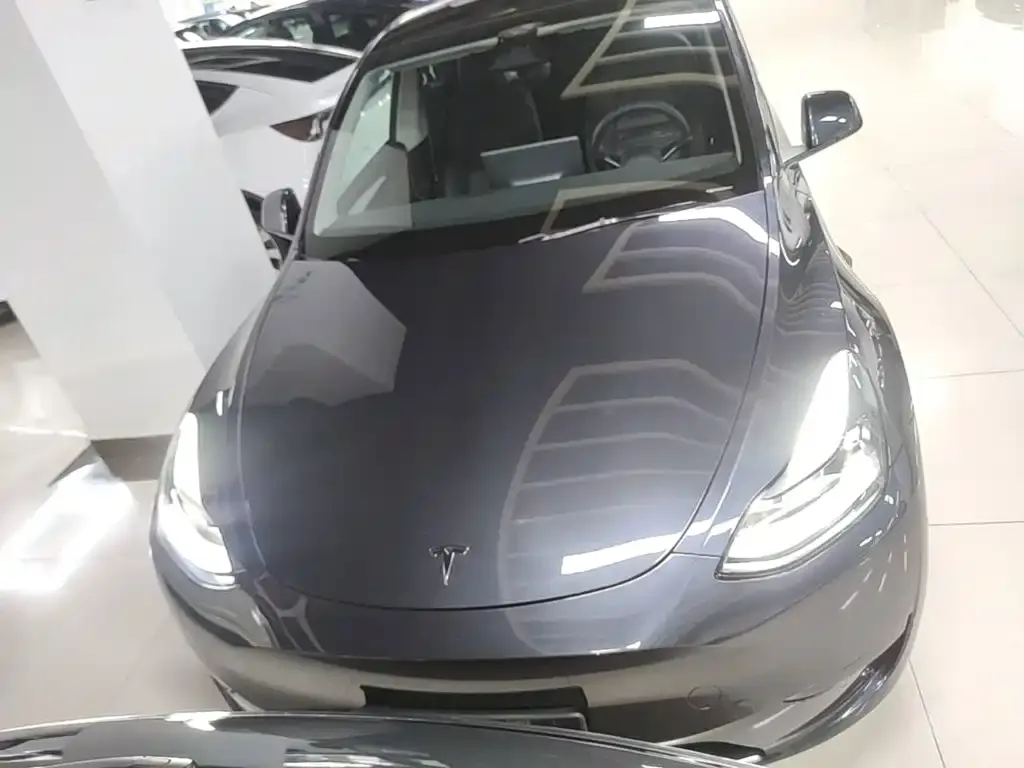 Tesla Model Y — фото 2