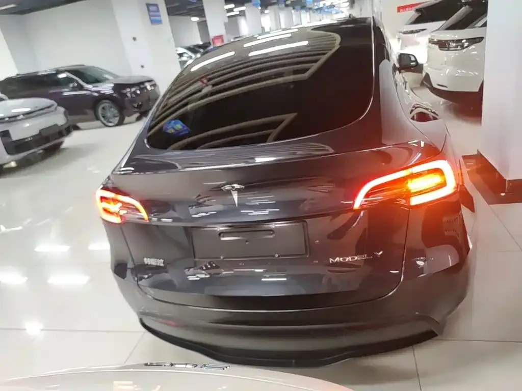 Tesla Model Y — фото 8
