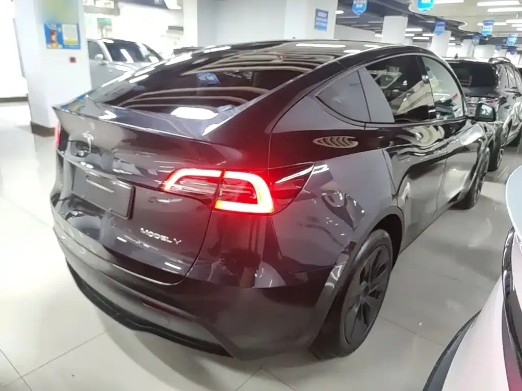 Tesla Model Y — фото 10