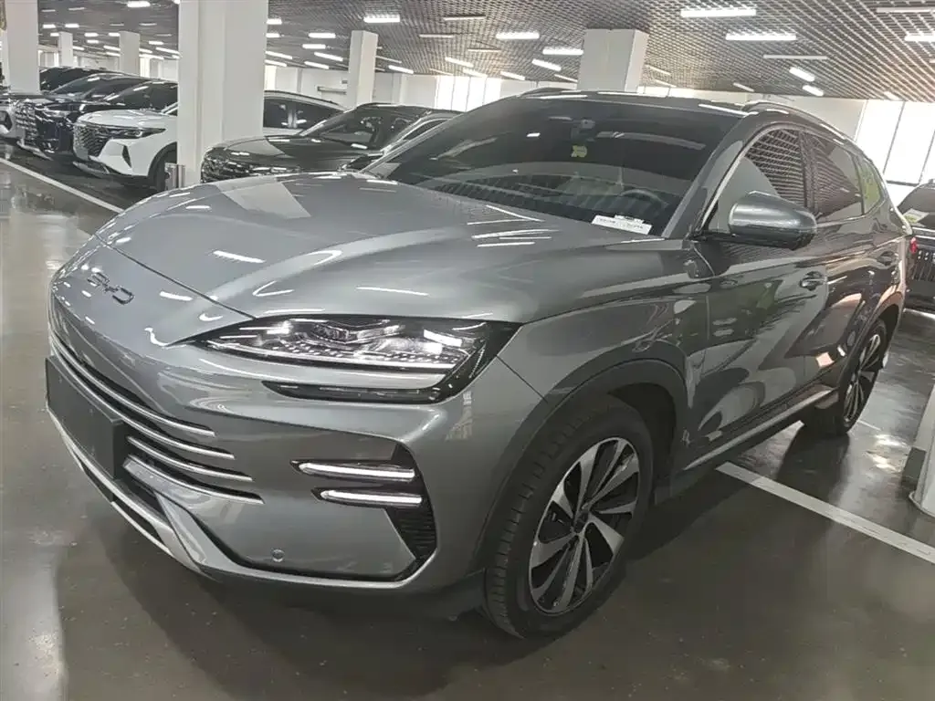 BYD PLUS New Energy