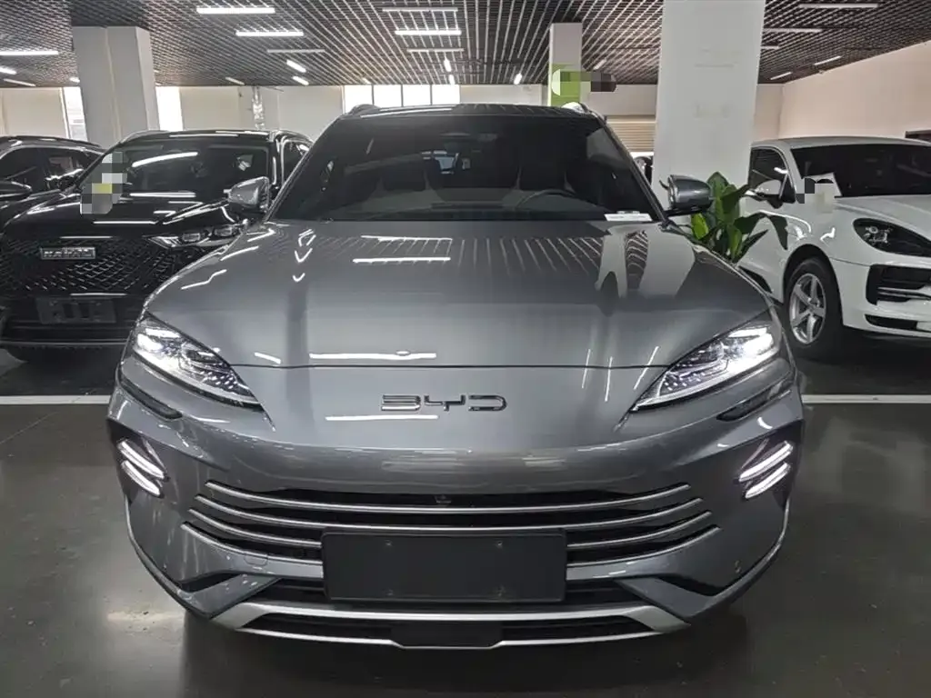 BYD PLUS New Energy 2024 из CN, фото 4
