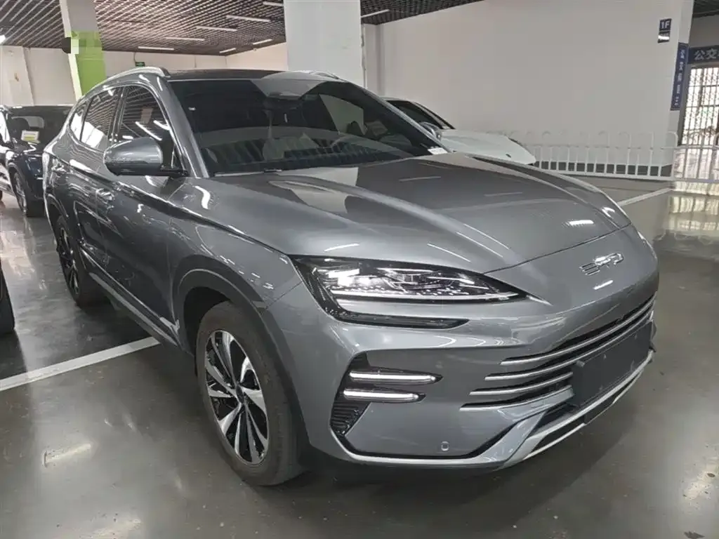 BYD PLUS New Energy 2024 из CN, фото 6