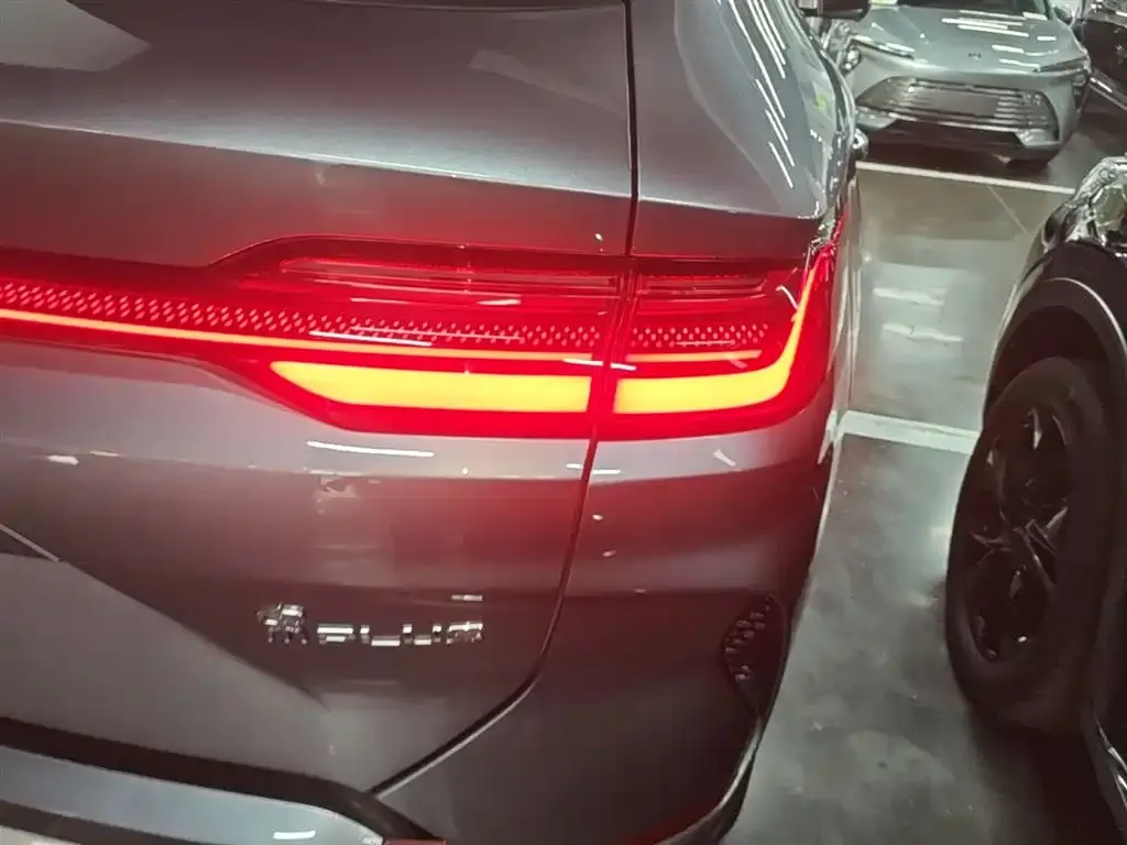 BYD PLUS New Energy 2024 из CN, фото 8