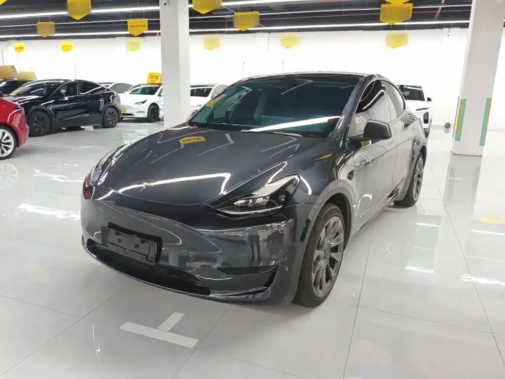 Tesla Model Y — фото 10