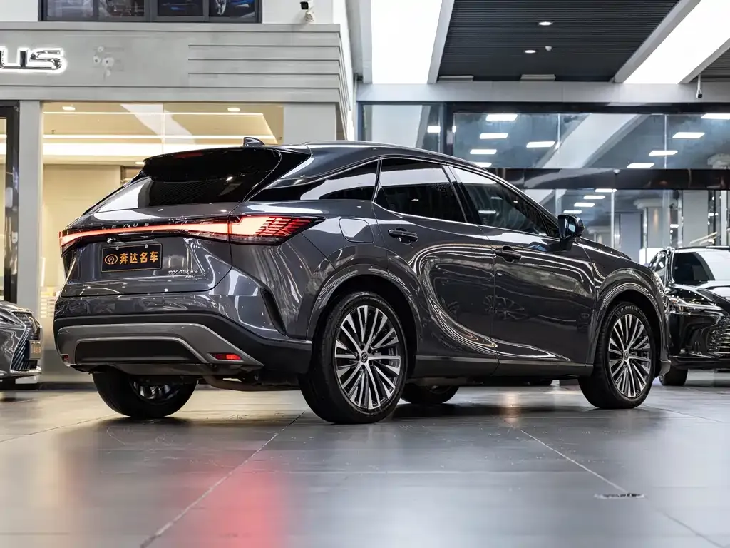 Lexus RX New Energy 2023 из CN, фото 9