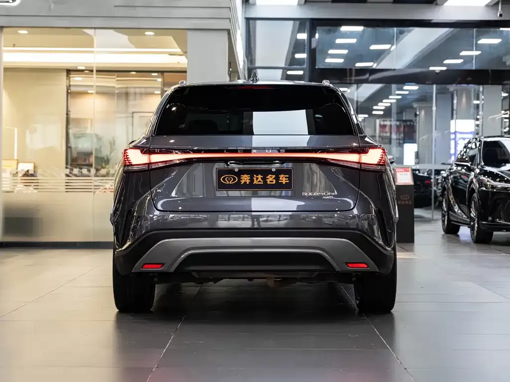 Lexus RX New Energy 2023 из CN, фото 4