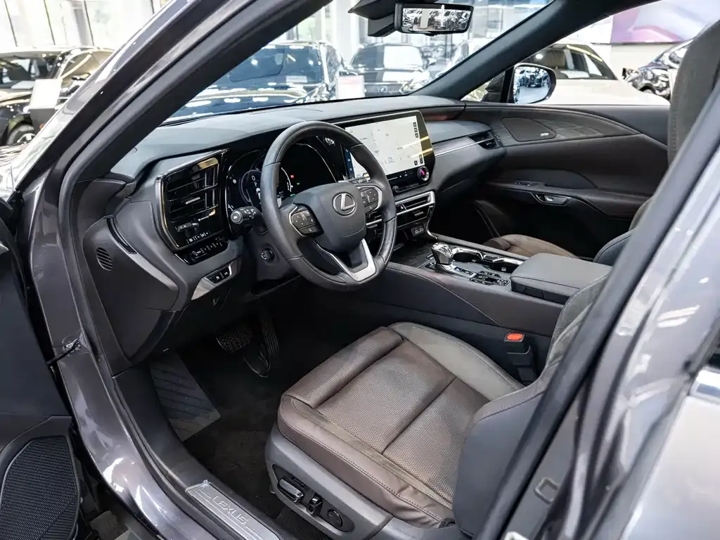 Lexus RX New Energy 2023 из CN, фото 8