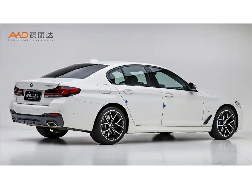 BMW 5 Series (Import) 2023 из CN, фото 10