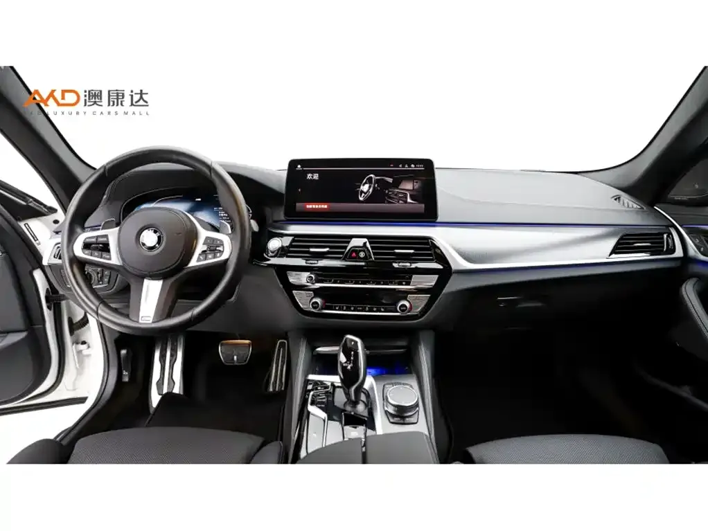 BMW 5 Series (Import) 2023 из CN, фото 3