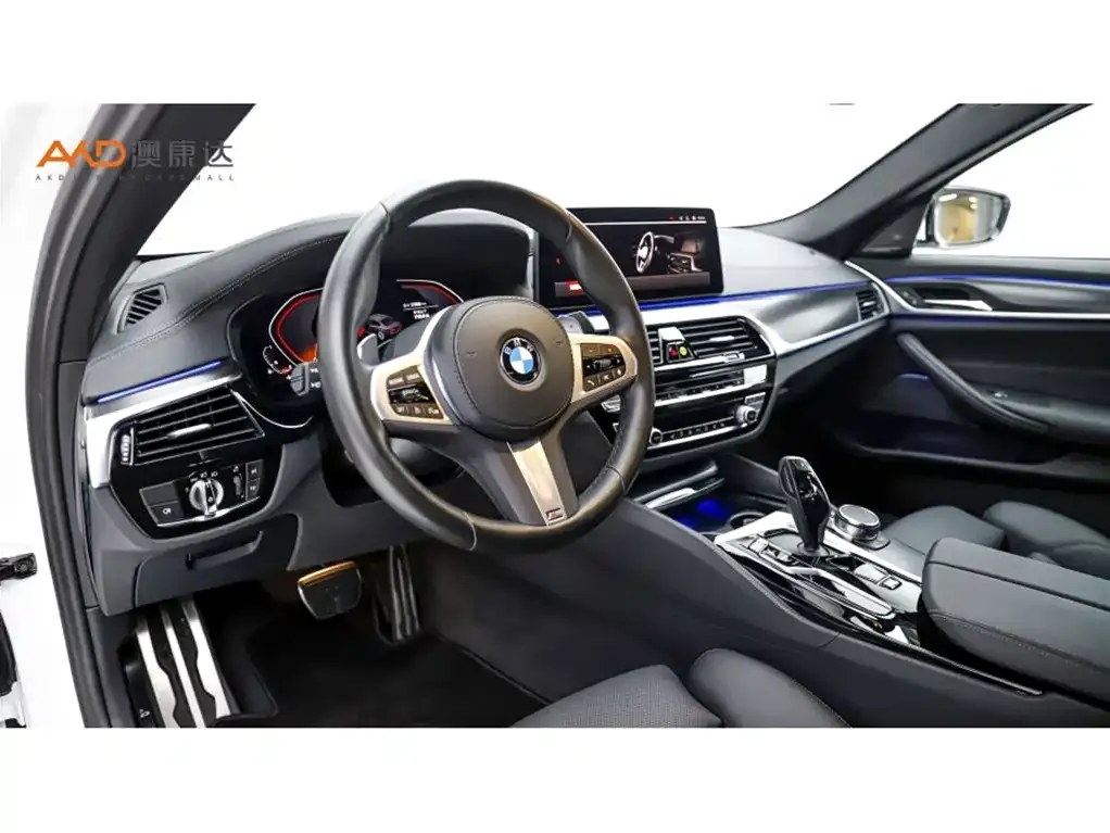 BMW 5 Series (Import) 2023 из CN, фото 9