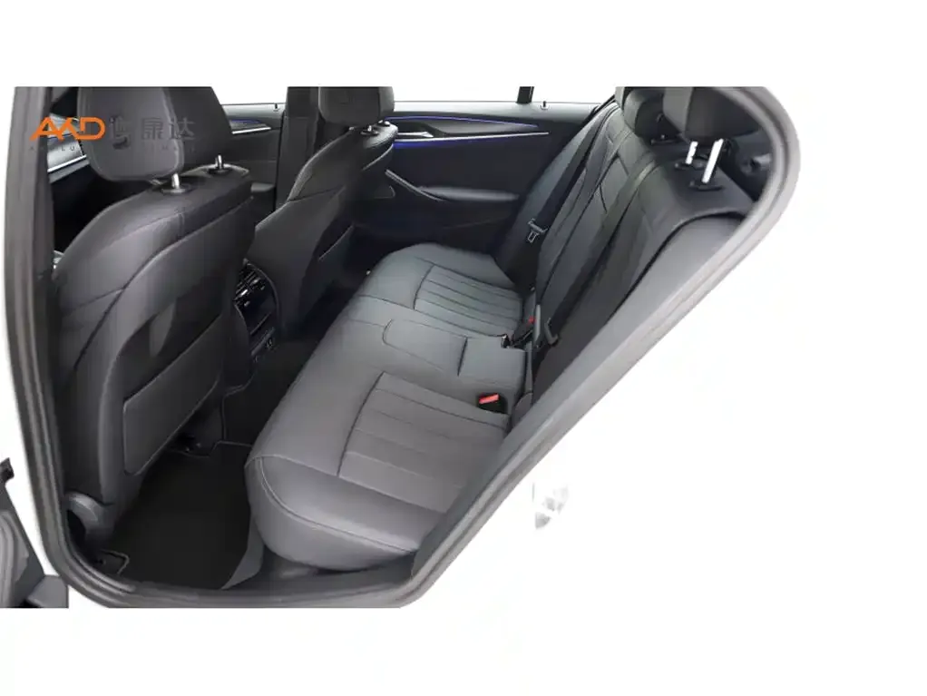 BMW 5 Series (Import) 2023 из CN, фото 6