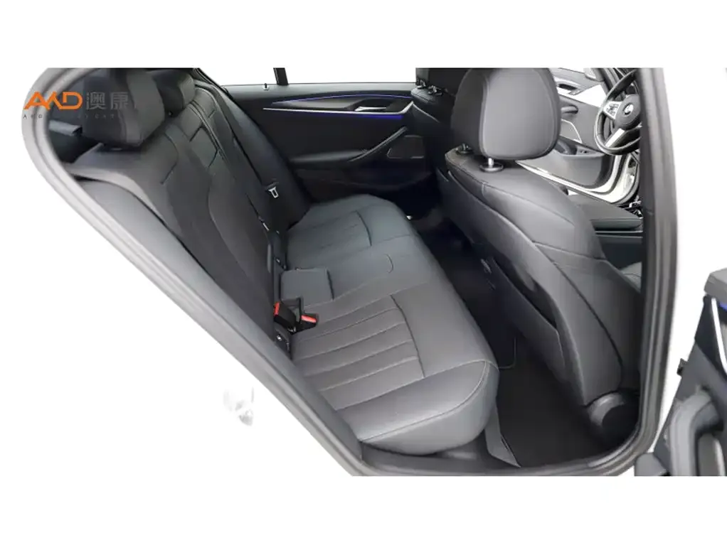 BMW 5 Series (Import) 2023 из CN, фото 4