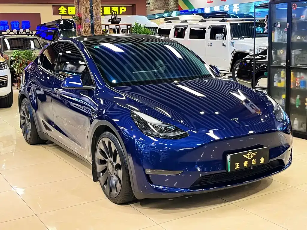 Tesla Model Y — фото 1