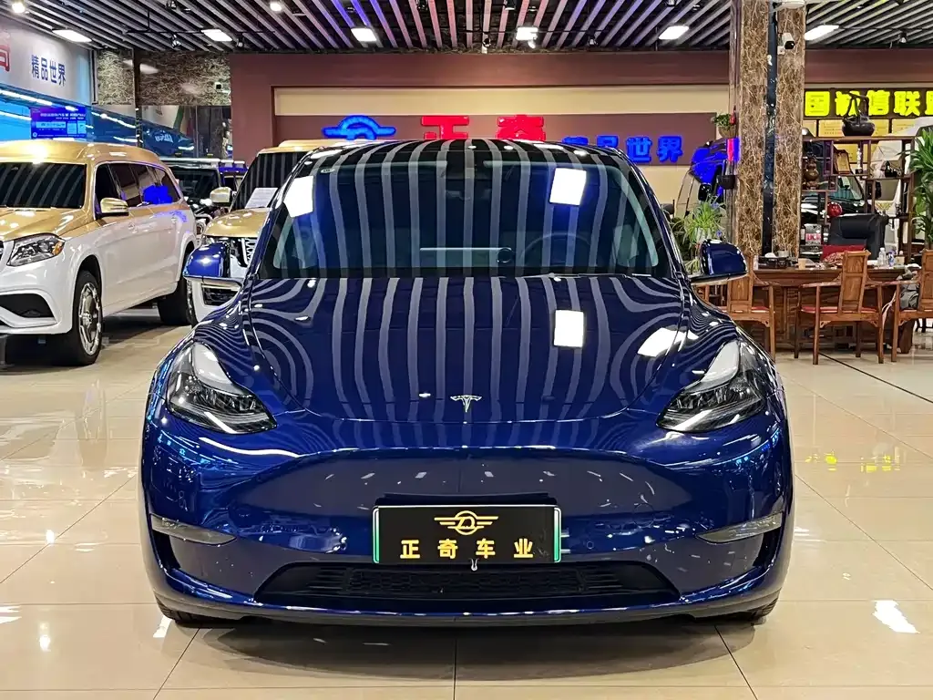 Tesla Model Y — фото 4