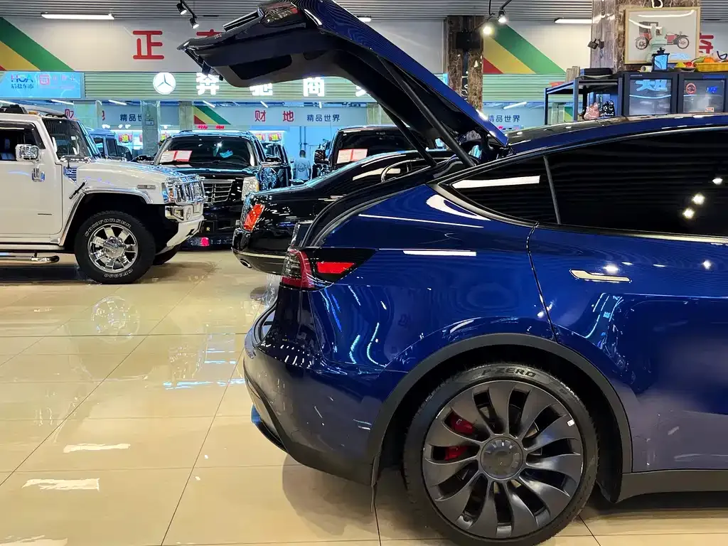 Tesla Model Y — фото 3