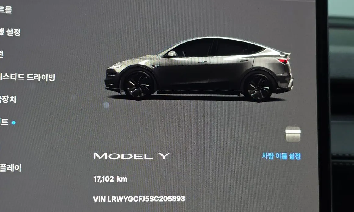 Tesla Model Y 2025 из KR, фото 10