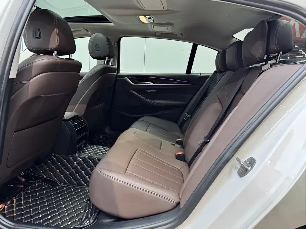 BMW 5 Series 2021 из CN, фото 9
