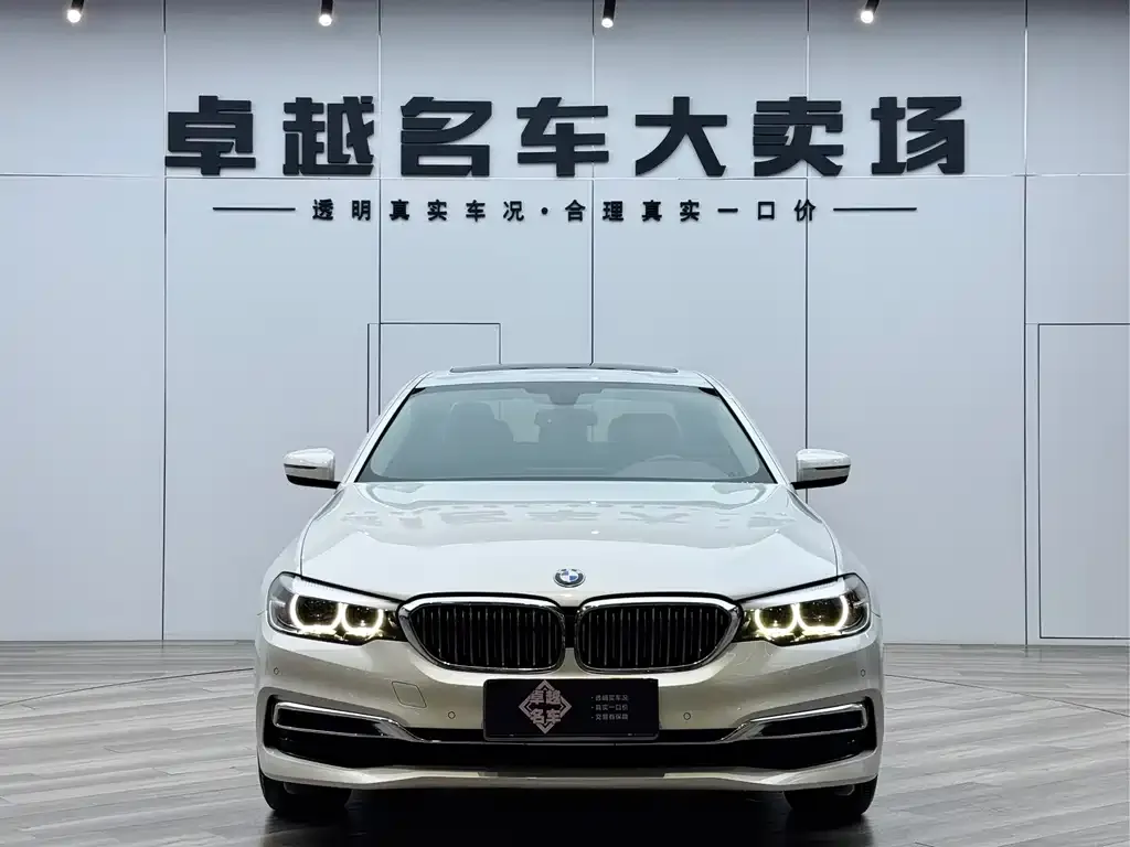 BMW 5 Series 2021 из CN, фото 2