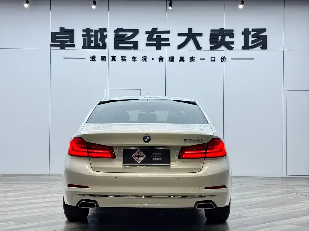 BMW 5 Series 2021 из CN, фото 8