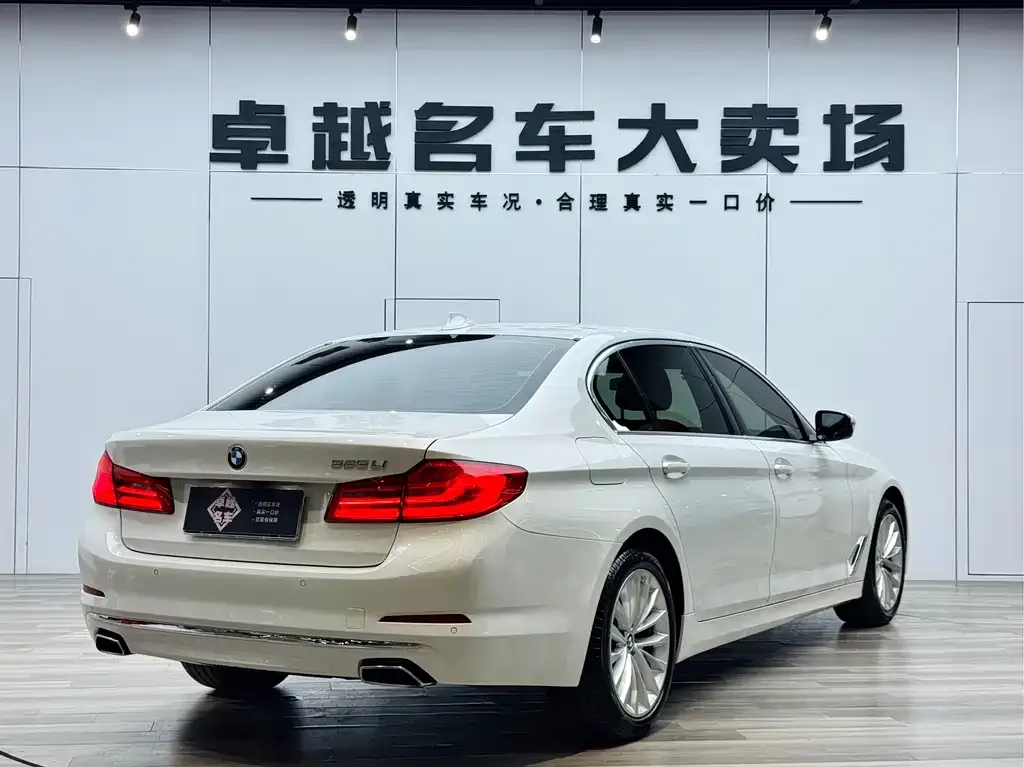 BMW 5 Series 2021 из CN, фото 3