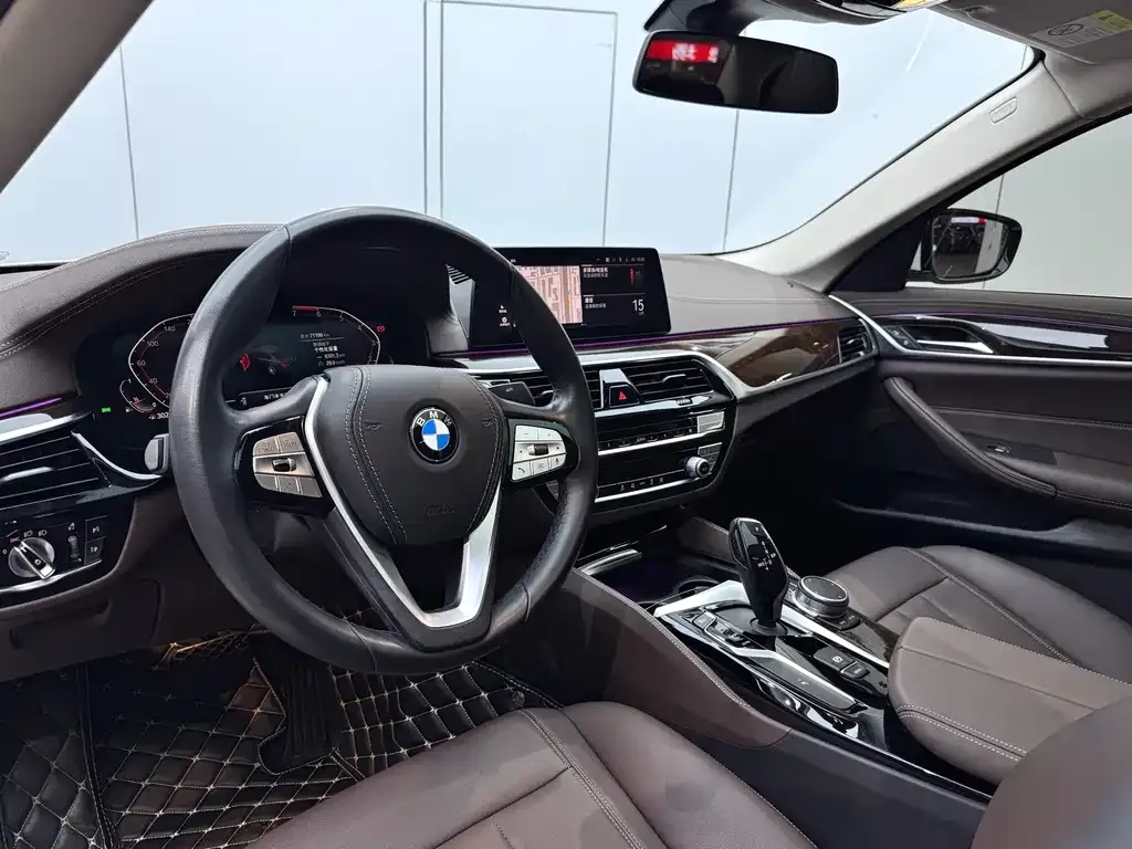 BMW 5 Series 2021 из CN, фото 10