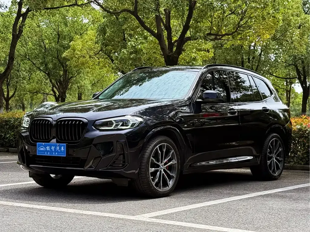 BMW X3 — фото 1