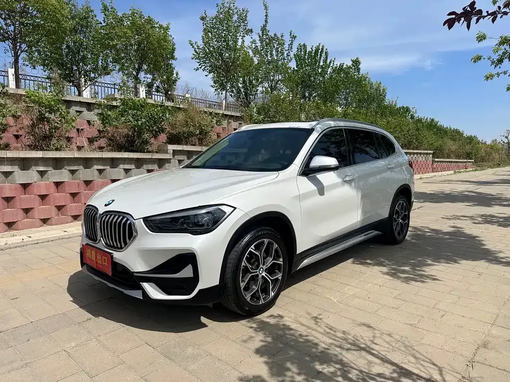 BMW X1 — фото 1