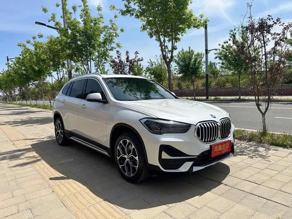 BMW X1 — фото 10