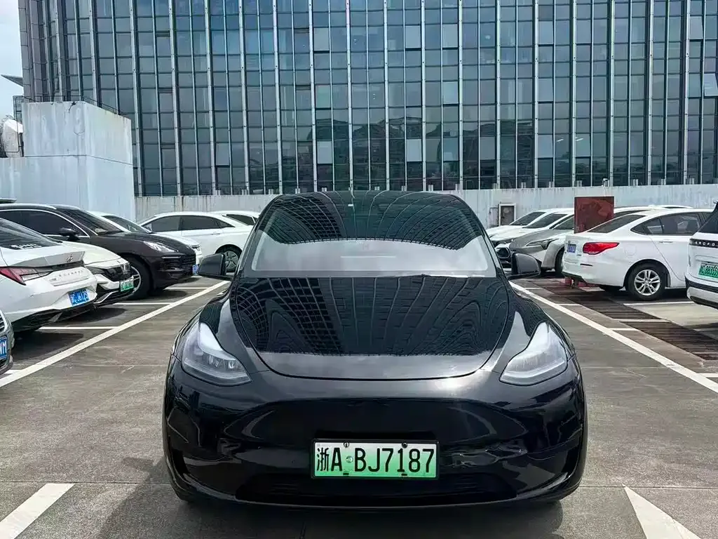 Tesla Model Y — фото 1