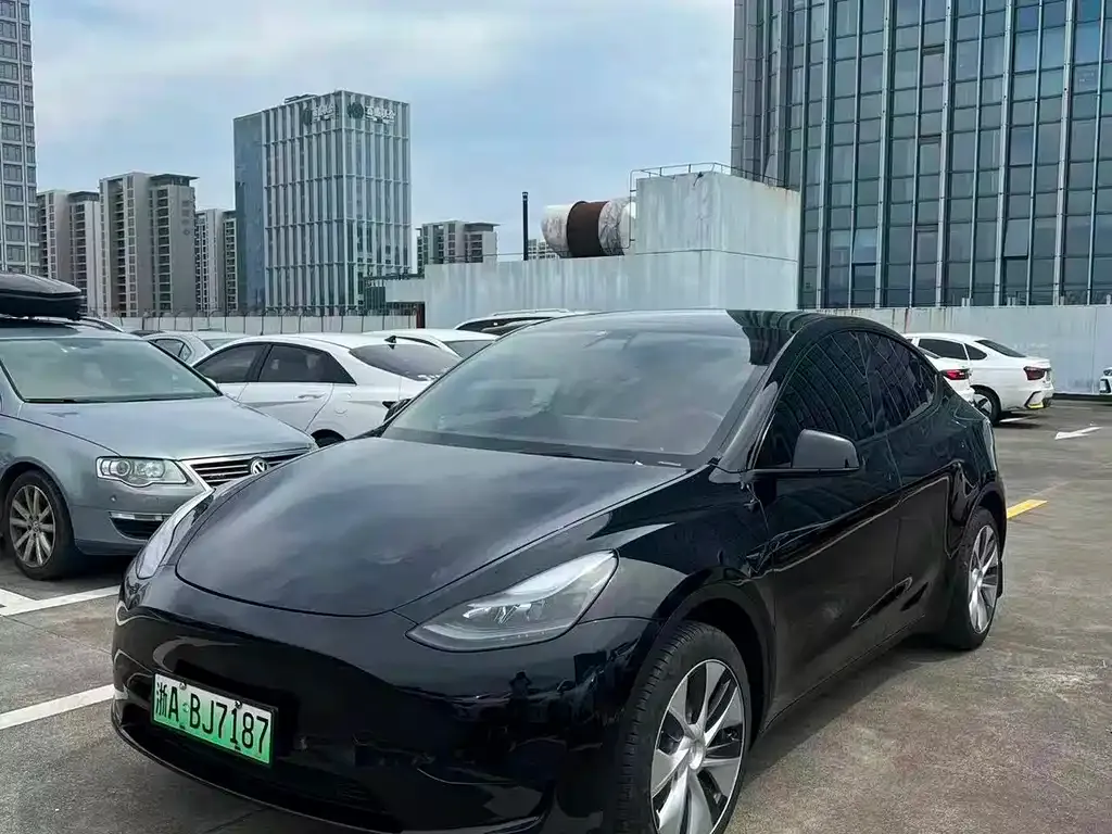 Tesla Model Y — фото 8