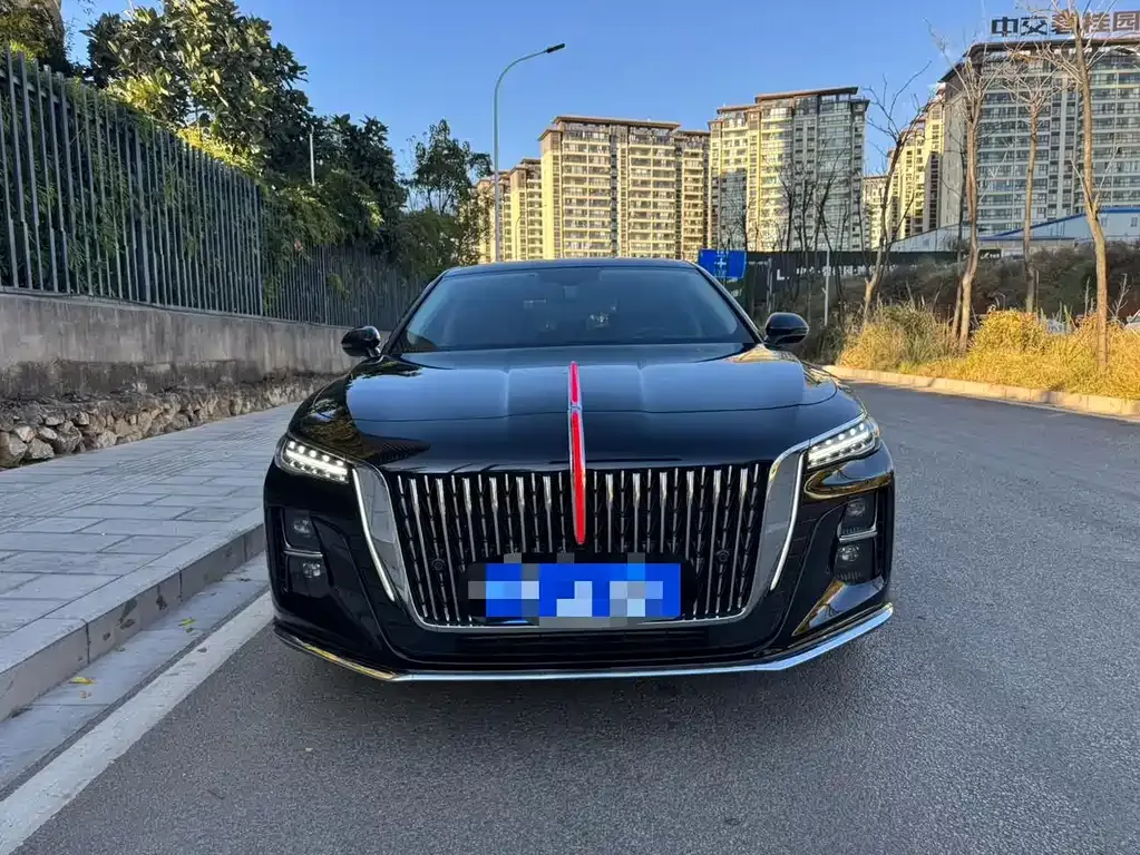 Hongqi H5 2023 из CN, фото 9