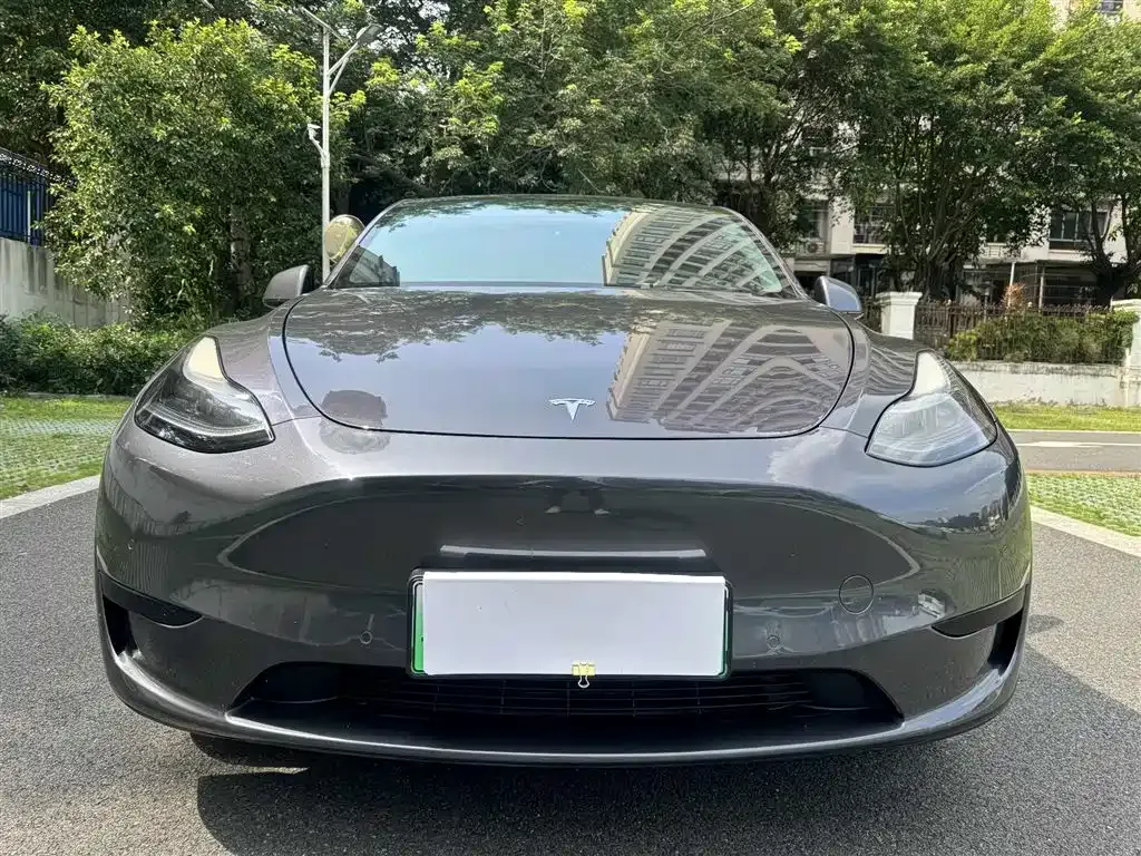 Tesla Model Y — фото 8