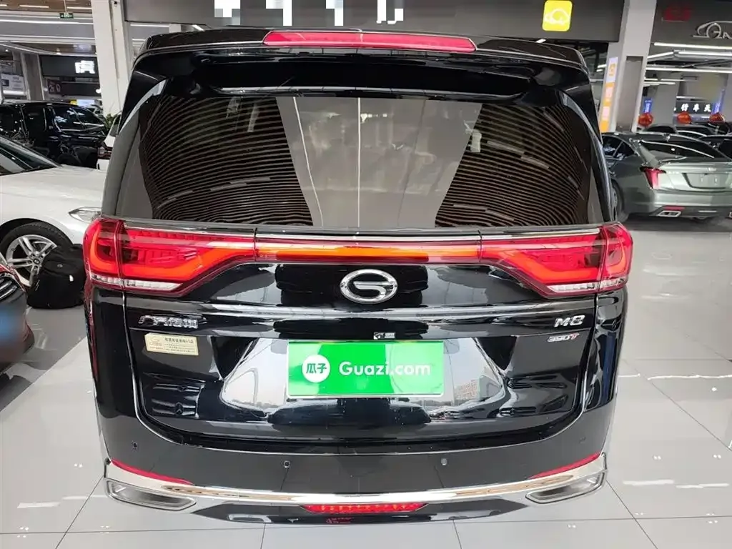 GAC Motor Trumpchi M8 2024 из CN, фото 2