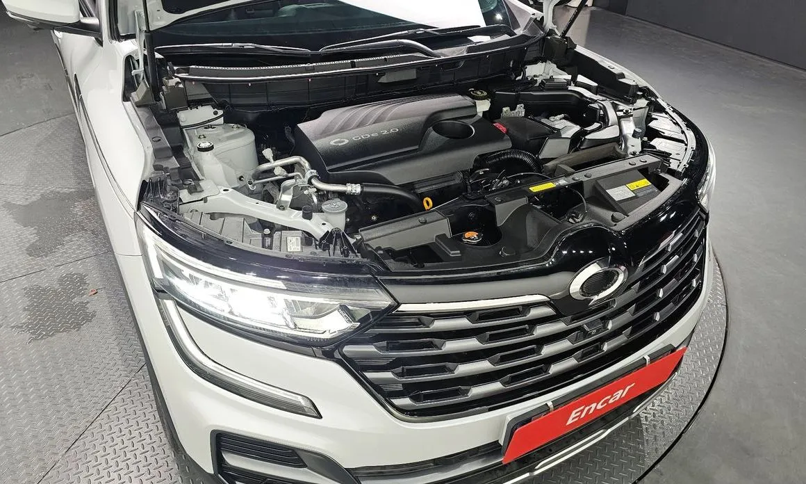 Renault Korea (Samsung) QM6 2024 из KR, фото 7