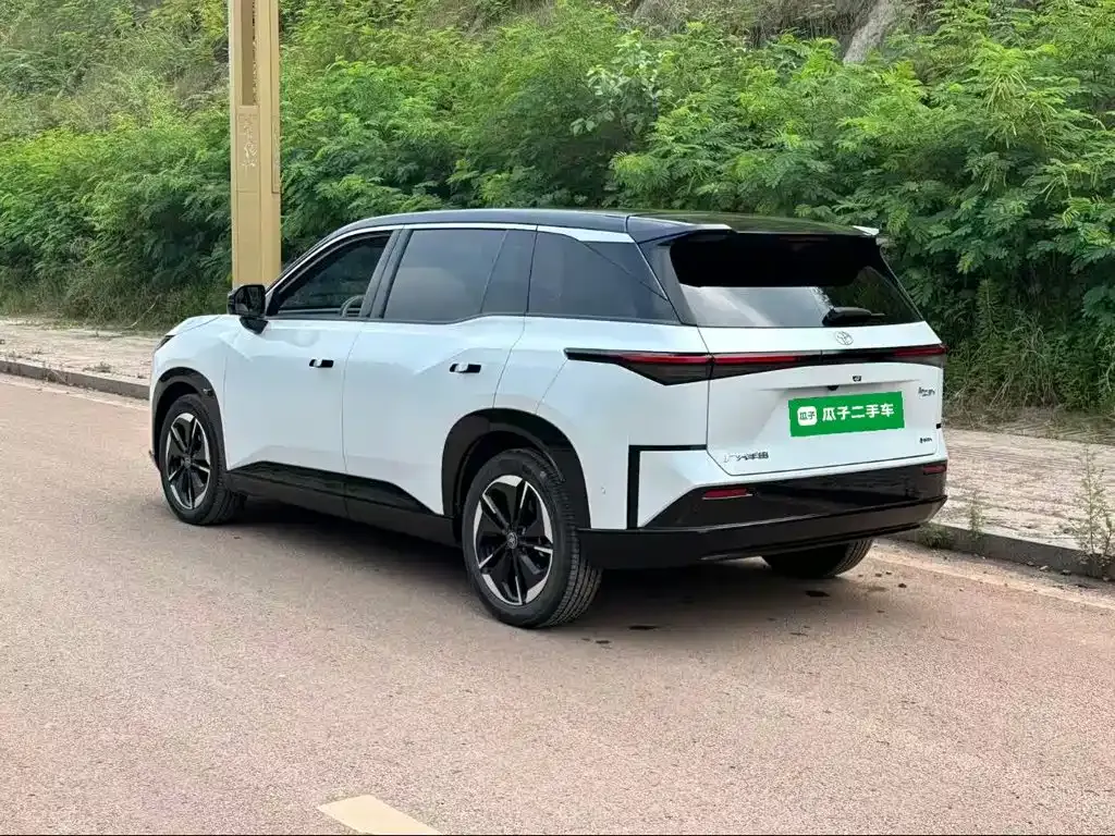 Toyota Platinum 3X 2025 из CN, фото 9