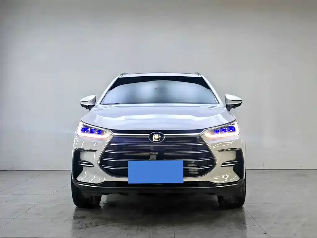 BYD Tang New Energy 2023 из CN, фото 4
