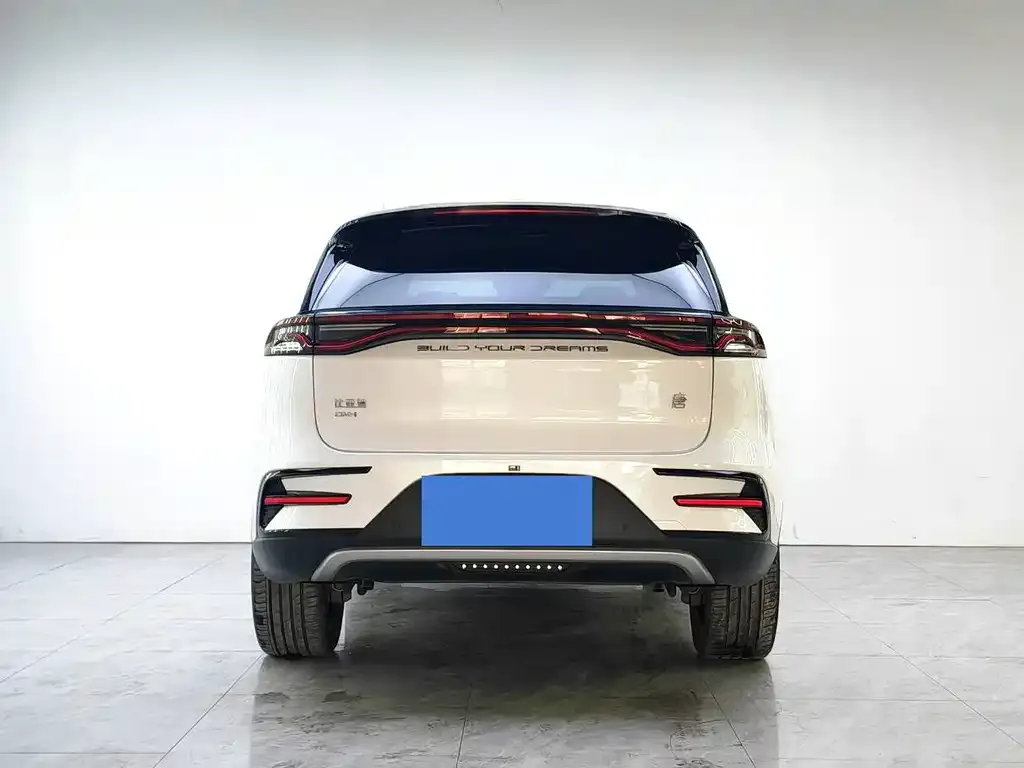 BYD Tang New Energy 2023 из CN, фото 2