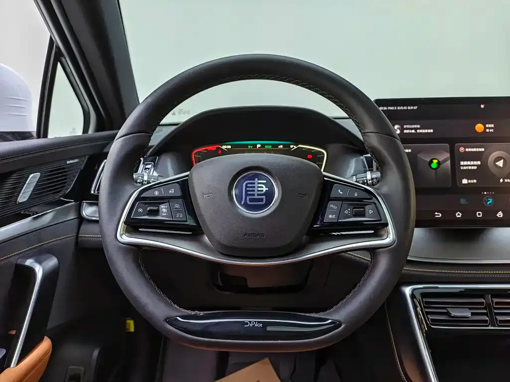 BYD Tang New Energy 2023 из CN, фото 8