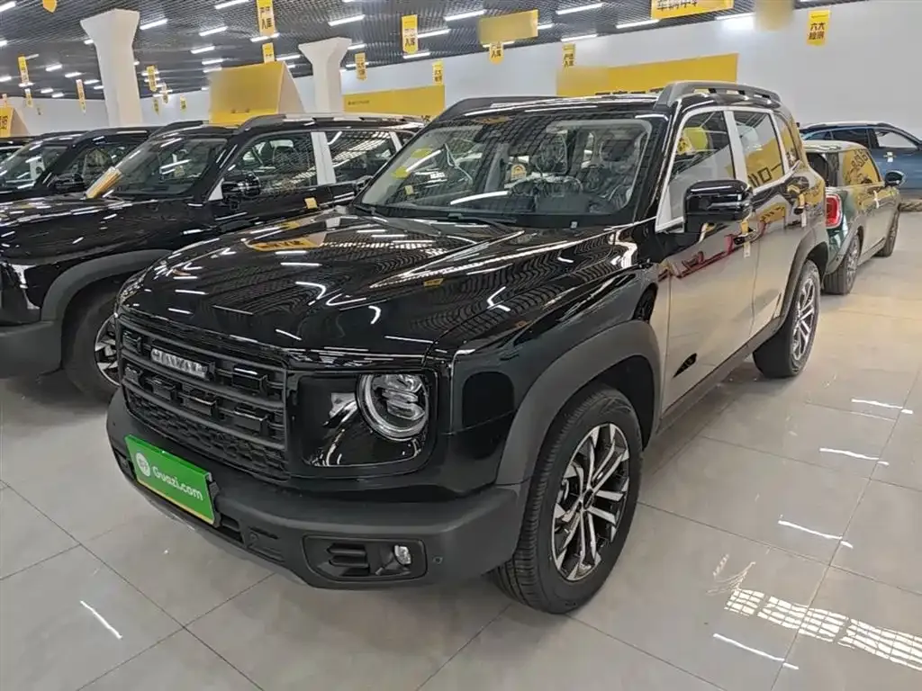 Haval Big Dog — фото 10